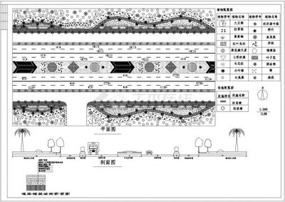 某道路绿化施工设计图纸