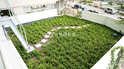 屋顶绿化经典案例:屋顶绿化的设计重点